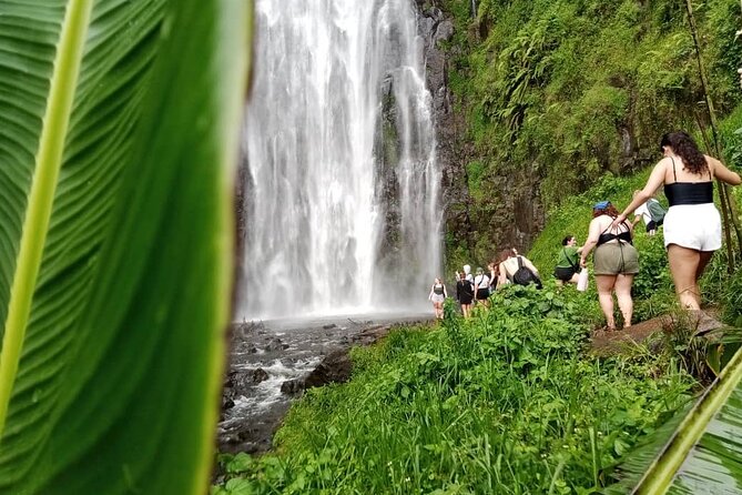 Materuni Waterfalls Hiking Tour with Coffee and Traditional Meal - Key points to know before you go