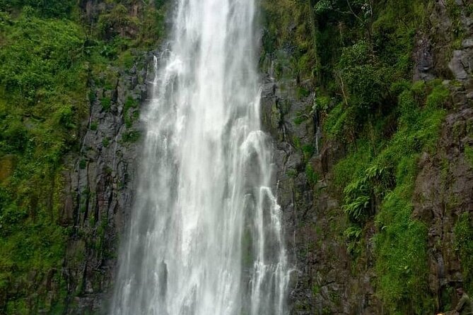 Materuni Waterfalls, Kikuletwa Chemka Hot springs, Coffee tour - Three northern Tanzania experiences in one long day