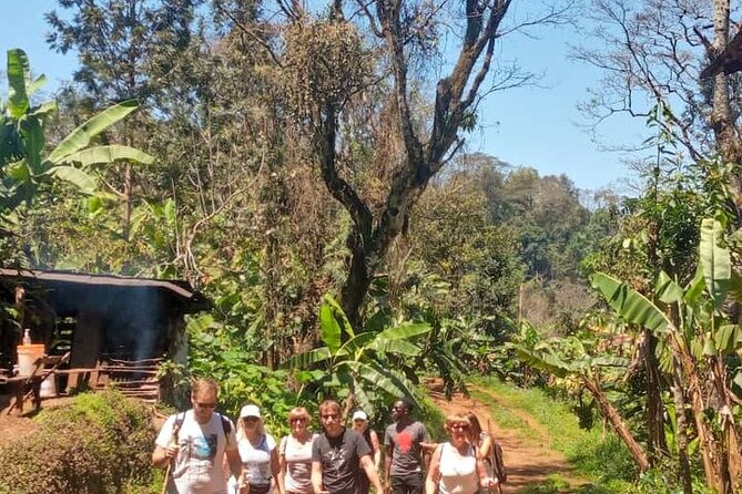 Materuni Waterfalls, Kikuletwa Chemka Hot springs, Coffee tour - Kilimanjaro views and the value of the setting