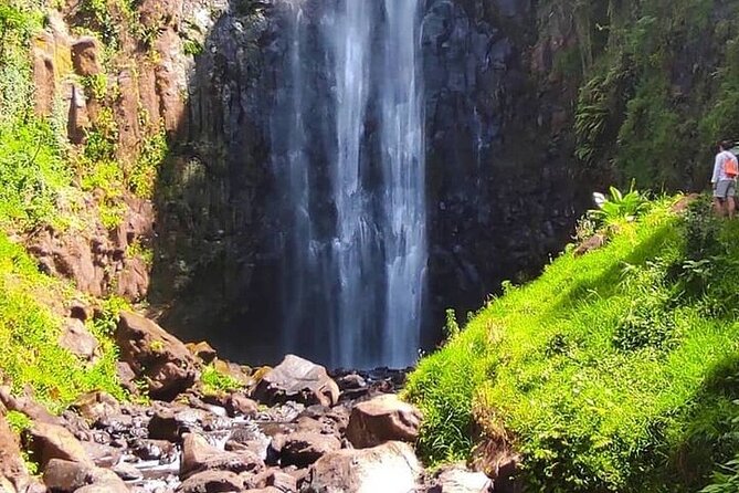 Materuni Waterfalls, Kikuletwa Chemka Hot springs, Coffee tour - Private transport, inclusions, and the $100 price
