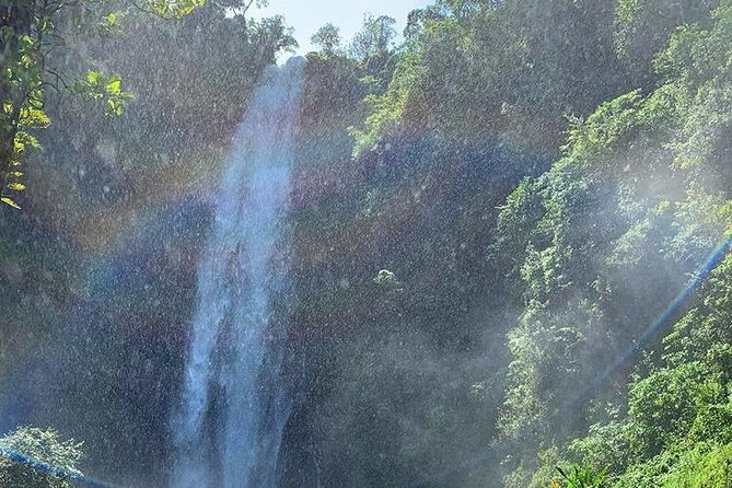 Materuni Waterfalls, Visiting Chagga Village, CoffeeTour Kikuletwa Hotsprings - Kikuletwa Hot Springs as the afternoon finish