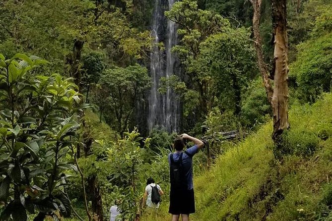 Materuni Waterfalls, Visiting Chagga Village, CoffeeTour Kikuletwa Hotsprings - Who will enjoy this Materuni day trip most