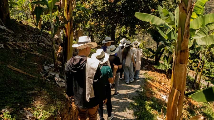 Medellin: Coffee and fruit tour - From Medellín to the Mountains of Ebéjico