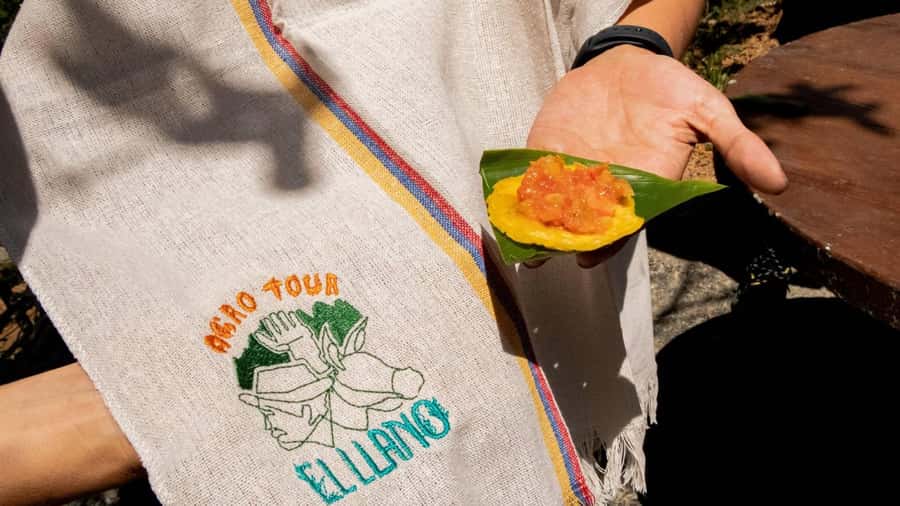 Medellin: Coffee and fruit tour - The Views and the Photo Stops