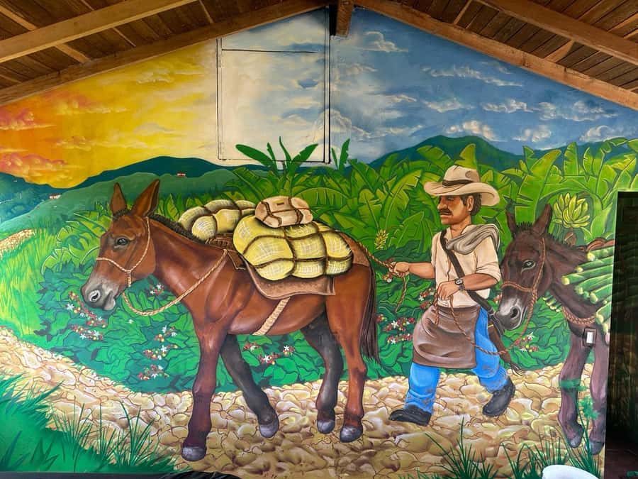 Medellin: Coffee and fruit tour - What the $67 Price Includes