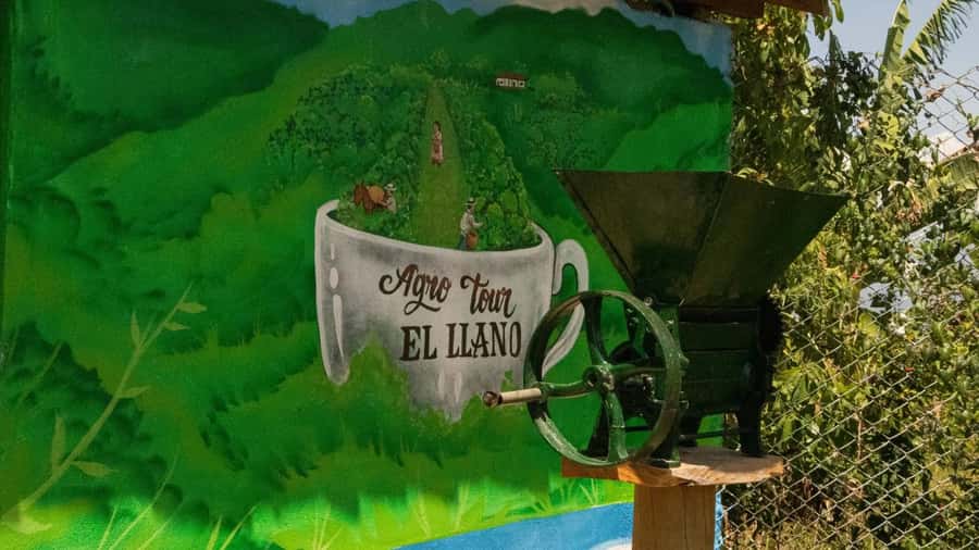 Medellin: Coffee and fruit tour - Who Will Enjoy This Farm Visit