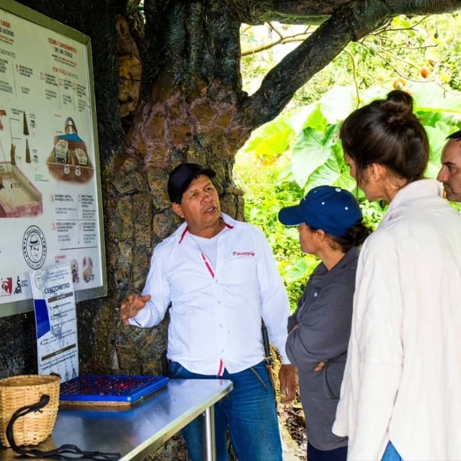 Medellin: Coffee Farm and Barista Workshop Experience - From Medellín to Don Leandro Coffee Farm