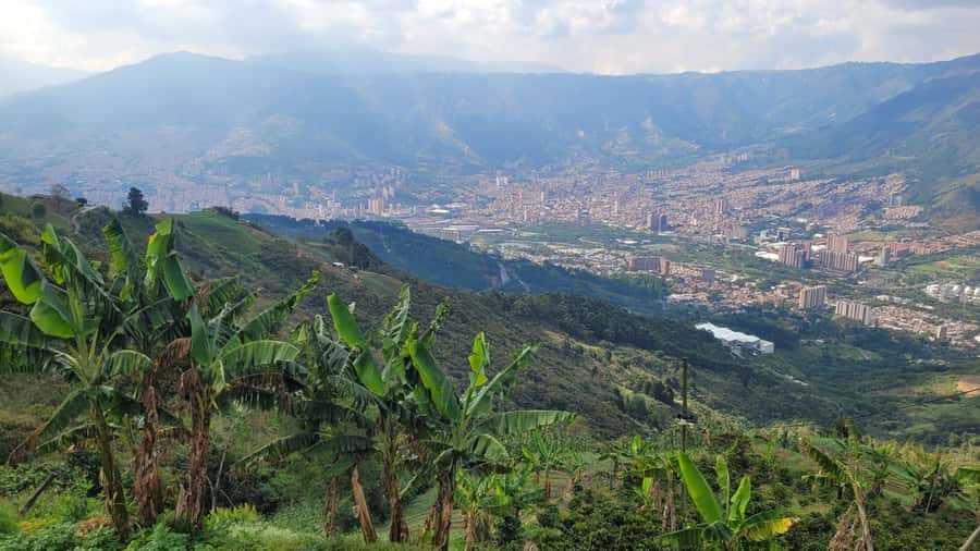 Medellin: Coffee Farm Tour & Spa with Overnight Glamping - The overnight coffee cave and evening barbecue