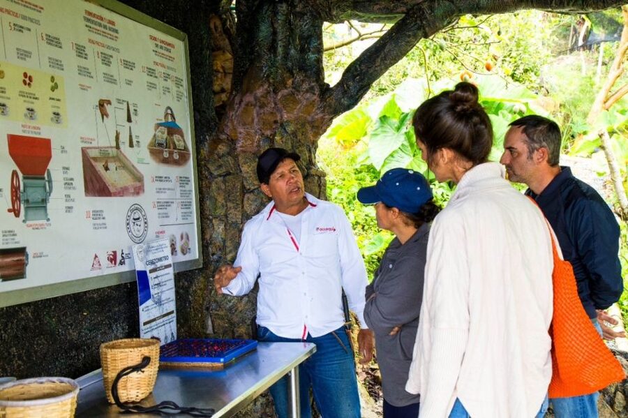 Medellin: Coffee Farm Tour & Spa with Overnight Glamping - What the $1,705 price means