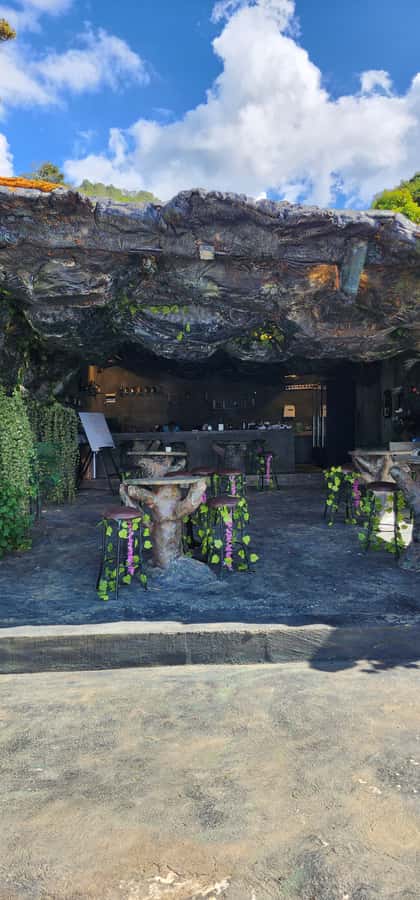 Medellin: Coffee Farm Tour & Spa with Overnight Glamping - Who will enjoy this experience most