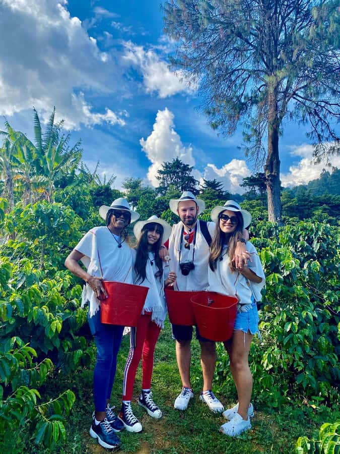 Medellín Coffee Farm Tour with Trolley and Cable Car Ride - Key points to know before you go