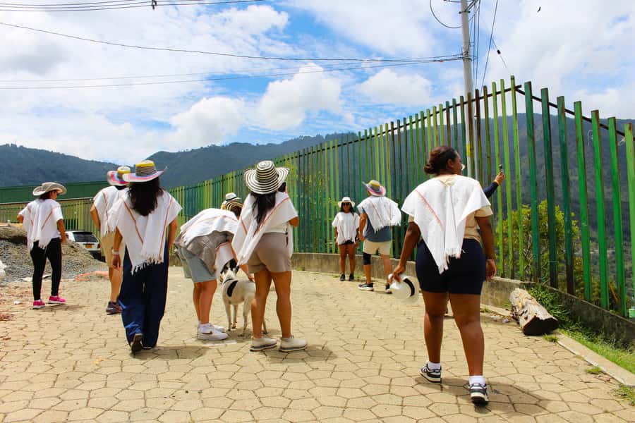 Medellín Coffee Farm Tour with Trolley and Cable Car Ride - From cherry to cup