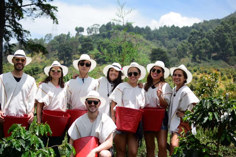 Medellín Coffee Farm Tour with Trolley and Cable Car Ride - Meeting at San Antonio and riding the electric tram