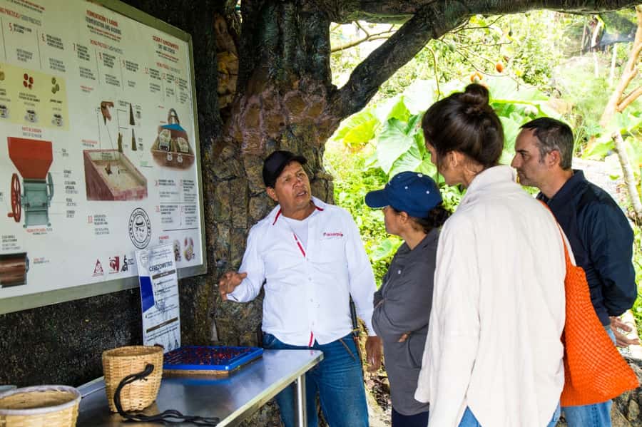 Medellin: Coffee Tour and Wellness Spa - Should you book the Don Leandro coffee spa tour?