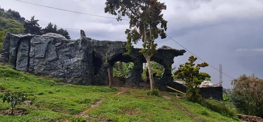 Medellin: Coffee Tour and Wellness Spa - Coffee farming with a side of mountain air