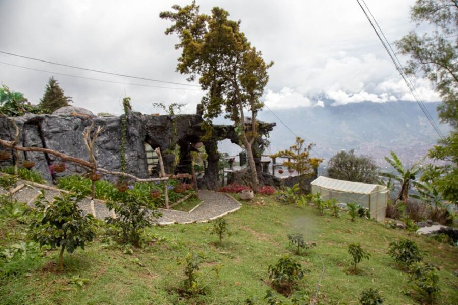 Medellin: Coffee Tour and Wellness Spa - The coffee scrub, oils, and massage