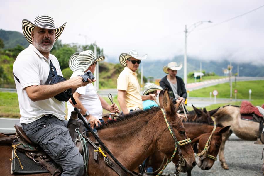 Medellin: Coffee Tour, Horseback Arrival, and Sugar Cane - Key points to know before booking