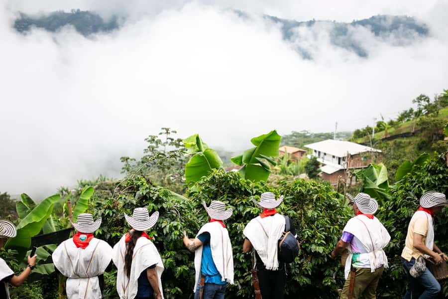Medellin: Coffee Tour, Horseback Arrival, and Sugar Cane - Meeting Christian and the fourth-generation farm family