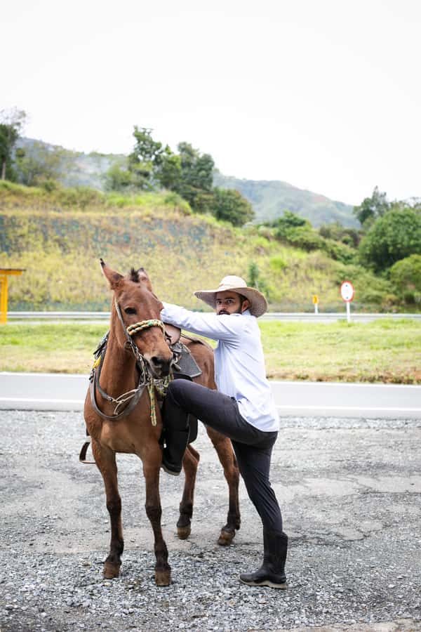 Medellin: Coffee Tour, Horseback Arrival, and Sugar Cane - Sugar cane, panela, and a refreshing break
