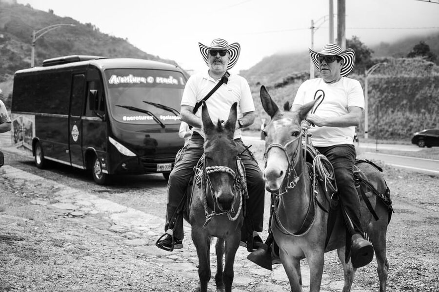 Medellin: Coffee Tour, Horseback Arrival, and Sugar Cane - Lunch with a mountain view
