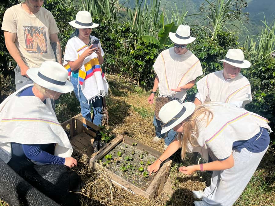 Medellin: Coffee Tour with Hotel Transfers and Meals - Key points at a glance