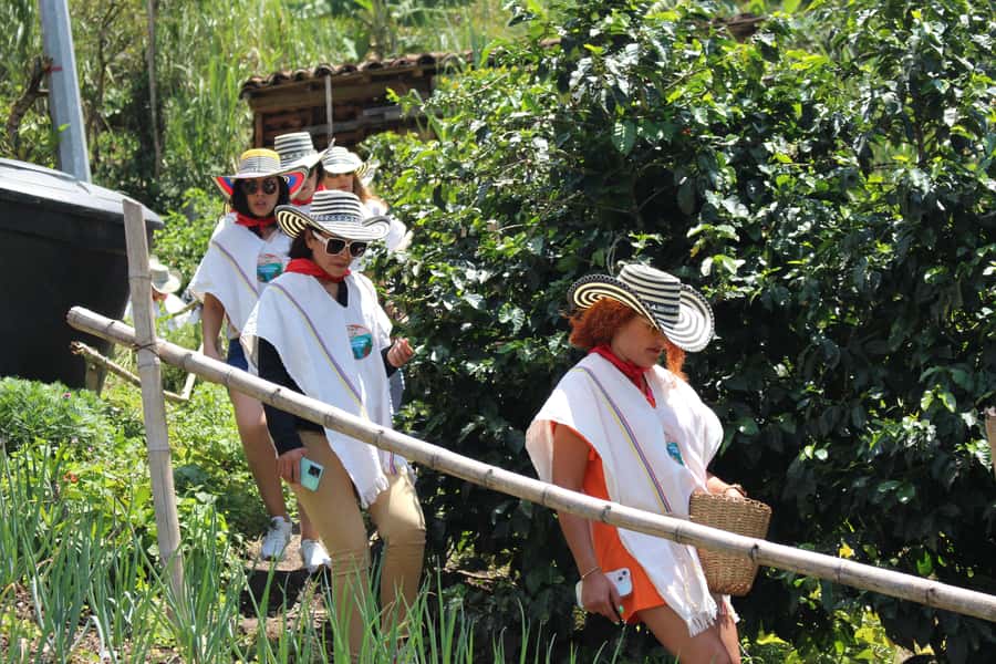 Medellin: Coffee Tour with Hotel Transfers and Meals - Why this coffee farm feels different from a city tasting