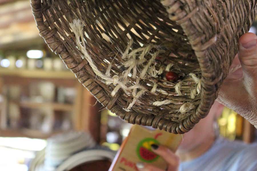 Medellin: Coffee Tour with Hotel Transfers and Meals - The optional horseback ride through the viewpoints