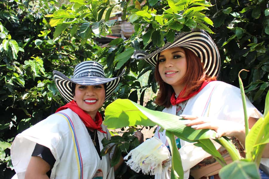 Medellin: Coffee Tour with Hotel Transfers and Meals - Getting from Medellín to San Sebastián de Palmitas
