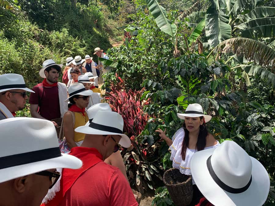 Medellin: Coffee Tour with Transport, Snacks and Tastings - Is the $80 price fair?