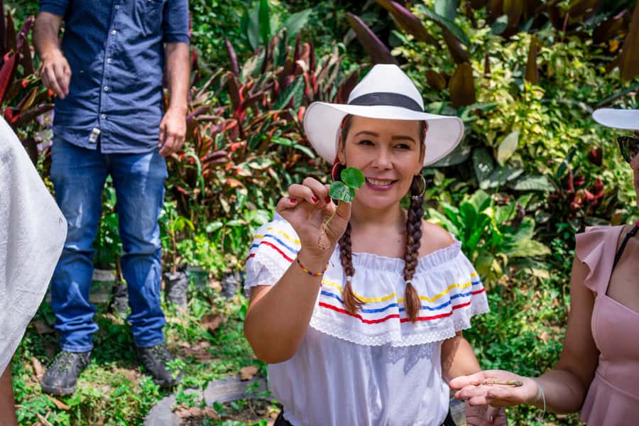 Medellin: Coffee Tour with Transport, Snacks and Tastings - Why this coffee farm trip is worth your Medellín morning