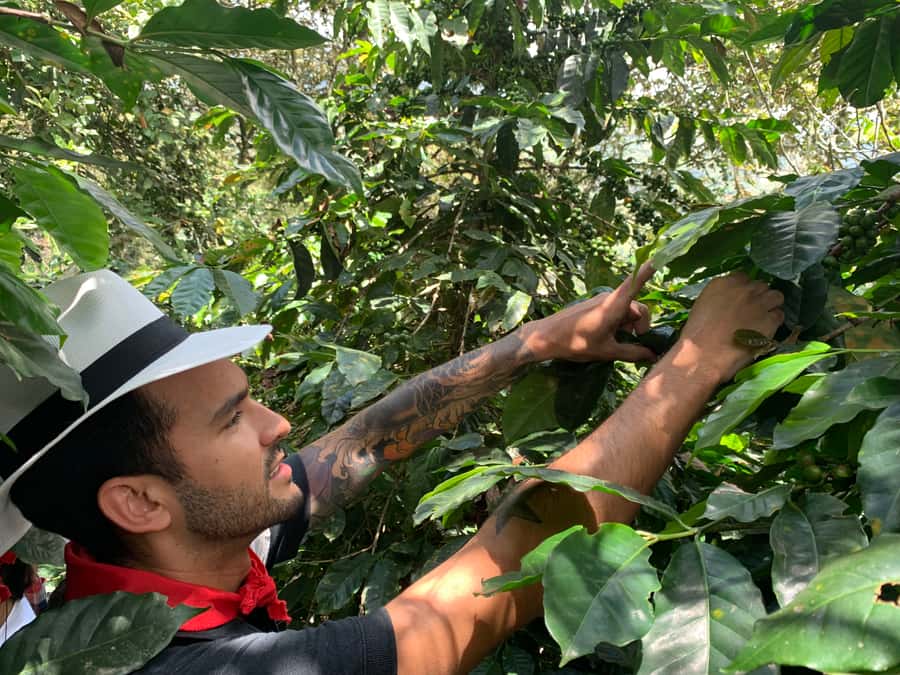 Medellin: Coffee Tour with Transport, Snacks and Tastings - Brewing lessons, specialty coffee, and lunch