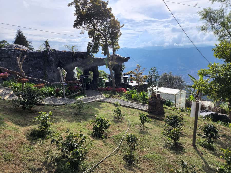 Medellin: Glamping Spa and coffee tour Experience - A coffee farm stay with a surprising overnight room