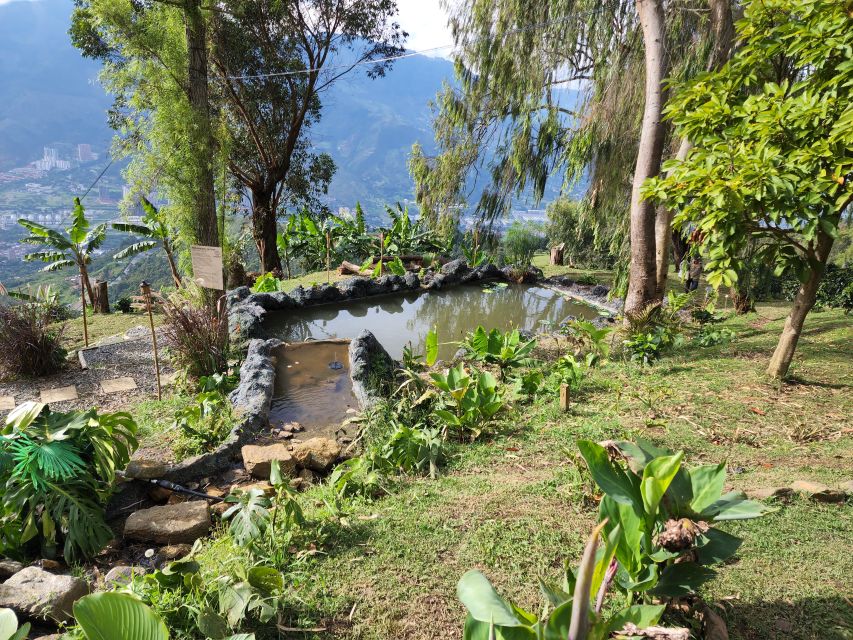 Medellin: Glamping Spa and coffee tour Experience - Who should book this coffee cave experience?