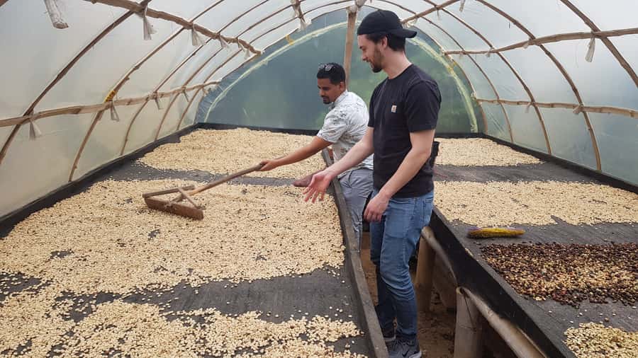 Medellin: Guatape, El Peñol Coffee Farm Private Tour & Fruit - Key points to know before booking