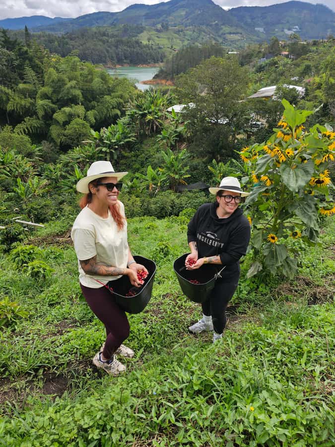 Medellin: Guatape, El Peñol Coffee Farm Private Tour & Fruit - Should you book it?