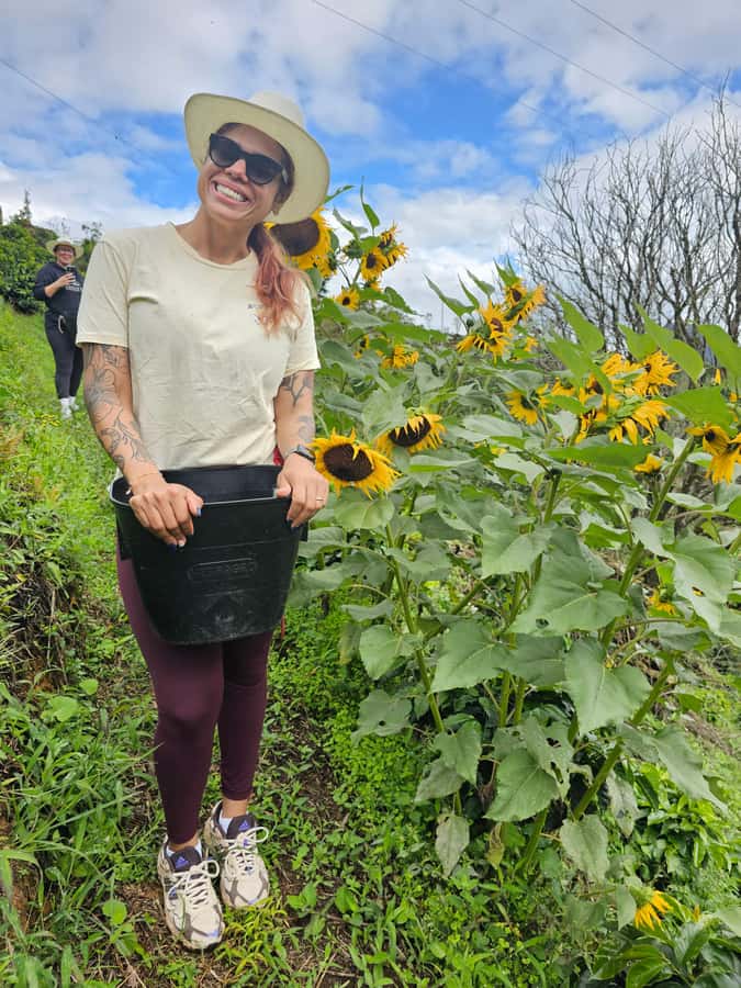 Medellin: Guatape, El Peñol Coffee Farm Private Tour & Fruit - Is eight hours enough?
