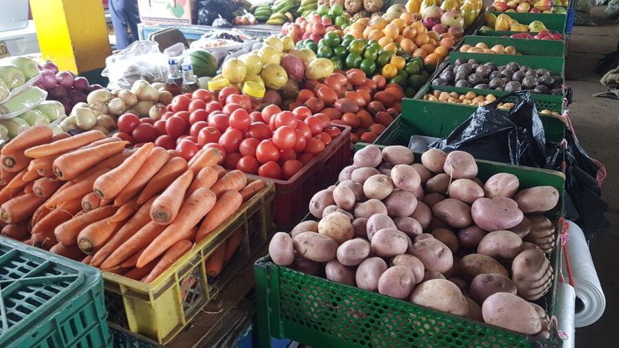 Medellin: Guatape, El Peñol Coffee Farm Private Tour & Fruit - Who should book this Guatapé day trip?