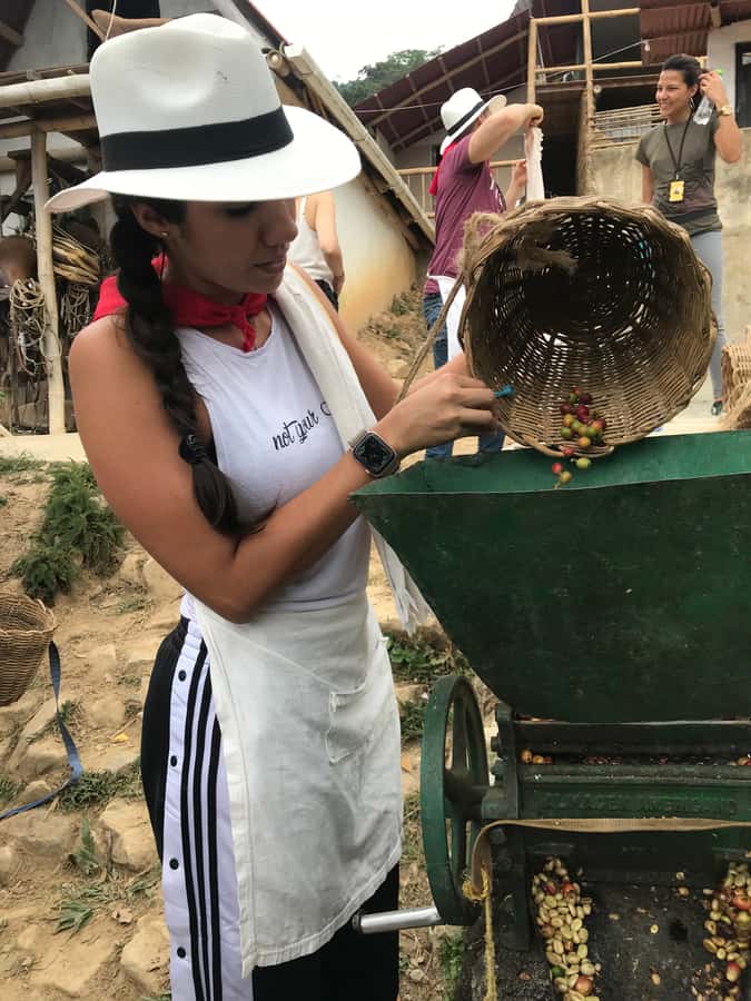 Medellín: Guatape Village with Coffee and Fruit Tasting Tour - Guatapé’s colorful streets and carved details