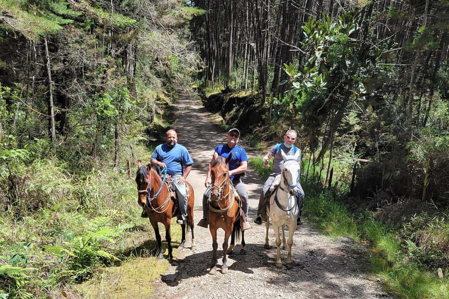 Medellin: Horseback Riding Coffee Farm Tour with Coffee Spa - Key points to know before booking