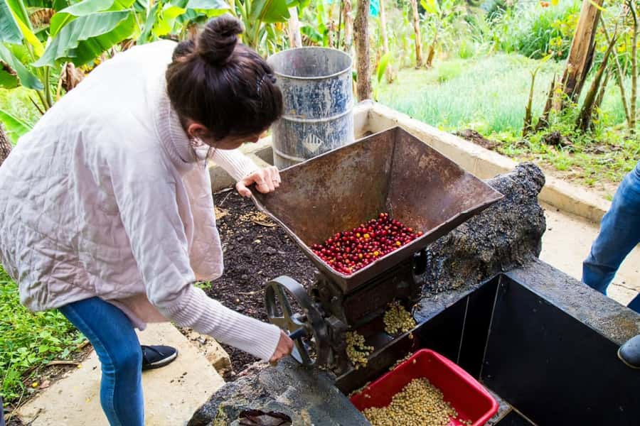 Medellin: Horseback Riding Coffee Farm Tour with Coffee Spa - Should you book the Don Leandro coffee spa tour?