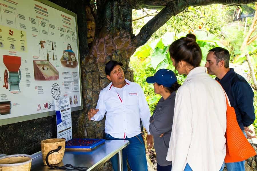Medellin: Horseback Riding Coffee Farm Tour with Coffee Spa - The coffee wellness spa