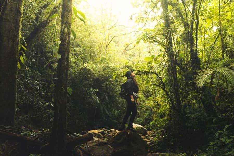 Medellín: Secret Waterfall Hike Tour with Snack and Coffee - From Poblado to a quieter side of Antioquia