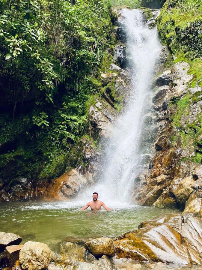 Medellín: Secret Waterfall Hike Tour with Snack and Coffee - Local plants, animals, and useful guide commentary