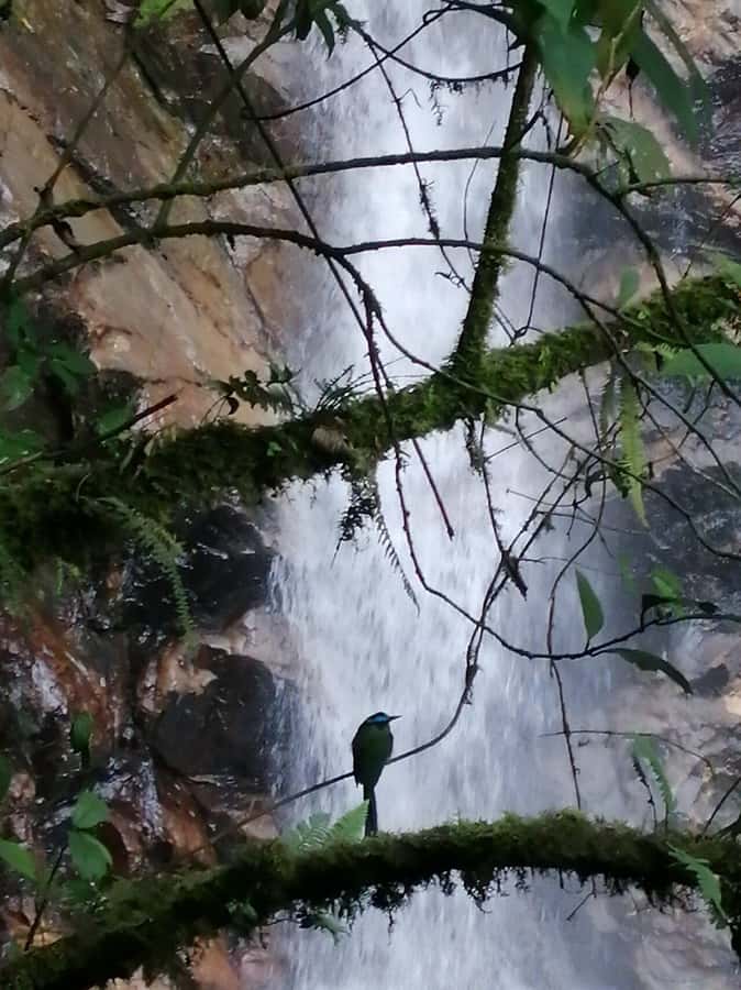 Medellín: Secret Waterfall Hike Tour with Snack and Coffee - Should you book this waterfall hike?