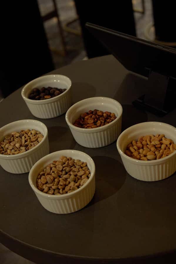 Medellin: The Best Coffee Tasting Experience - Meeting Javier at Marquee Hotel