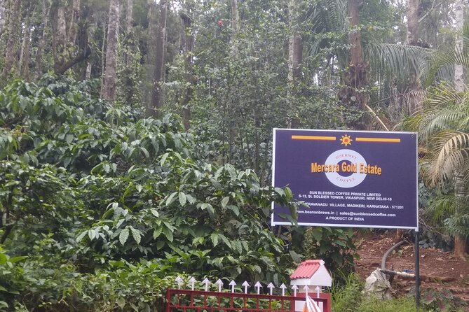 Mercara Gold Coorg Coffee and Spice Estate Tour - What the Mercara Gold Estate tour is really about