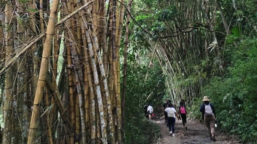 Minca: Hidden Waterfall + Coffee and Cocoa Workshop - Key points to know before booking
