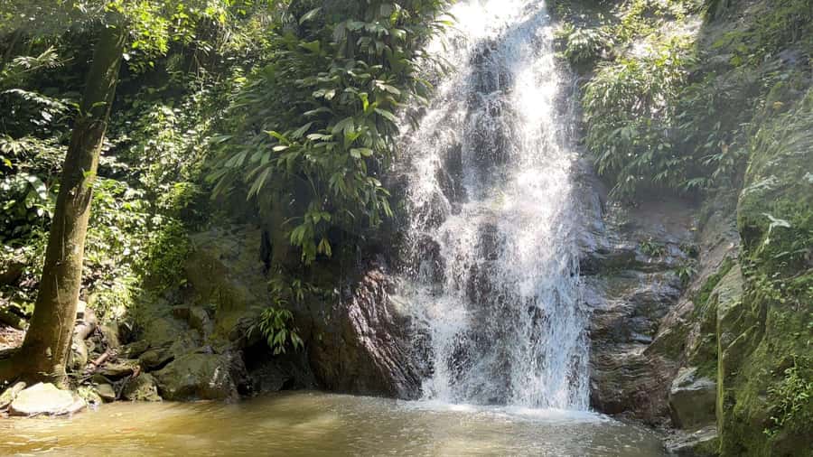 Minca: Hidden Waterfall + Coffee and Cocoa Workshop - From Santa Marta to Minca in about one hour