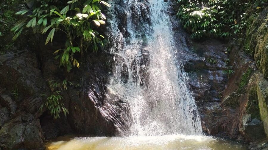 Minca: Hidden Waterfall + Coffee and Cocoa Workshop - Lunch after the waterfall
