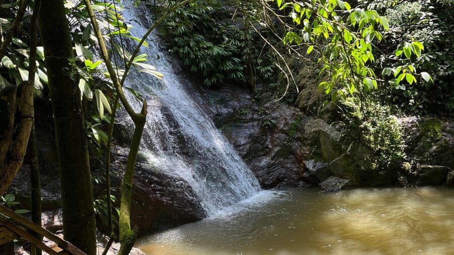Minca: Hidden Waterfall + Coffee and Cocoa Workshop - Guides, languages, and group size